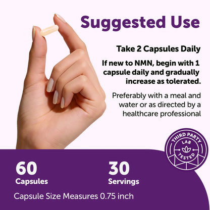 Micro Ingredients NMN Complex 1,000Mg per Serving, 10-1 Complex, Zero Filler, Pure NMN 500Mg with Vitamin C, Resveratrol, Coq10, TMG, Quercetin, & Glutathione | NAD+ Supplement Precursor