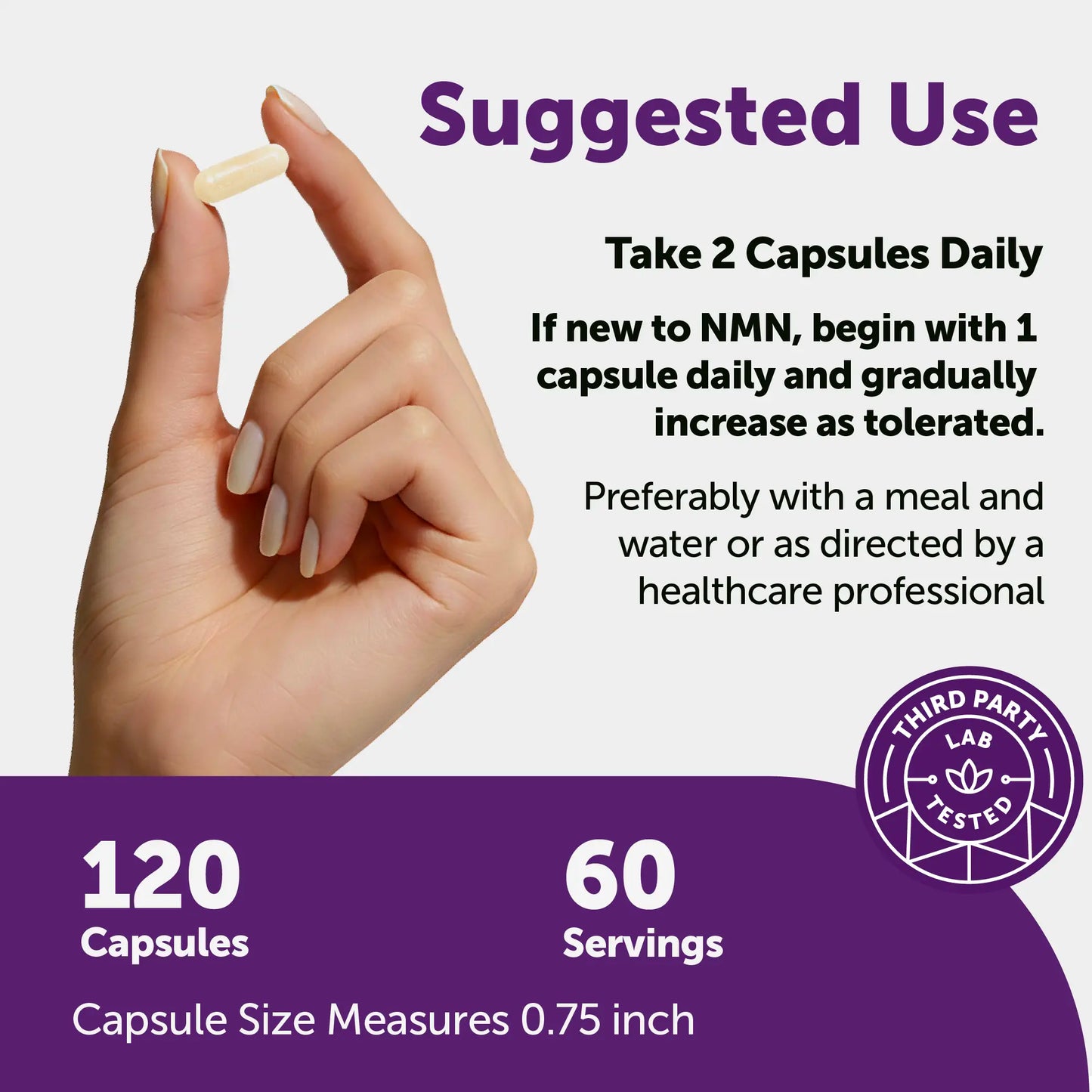 Micro Ingredients NMN Complex 1,000Mg per Serving, 10-1 Complex, Zero Filler, Pure NMN 500Mg with Vitamin C, Resveratrol, Coq10, TMG, Quercetin, & Glutathione | NAD+ Supplement Precursor