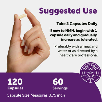 Micro Ingredients NMN Complex 1,000Mg per Serving, 10-1 Complex, Zero Filler, Pure NMN 500Mg with Vitamin C, Resveratrol, Coq10, TMG, Quercetin, & Glutathione | NAD+ Supplement Precursor